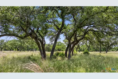 997 Sandy Oaks Ranch Rd, Johnson City, TX 78636 - Photo 4