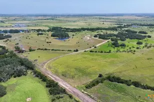 Tbd Lot 2 County Road 236, Bertram, TX 78605 - Photo 2