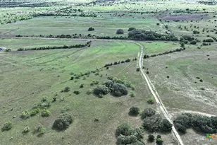 Tbd Lot 1 County Road 276, Bertram, TX 78605 - Photo 2