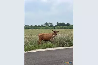 67 Pitchfork Ranch Road, Copperas Cove, TX 76522 - Photo 12