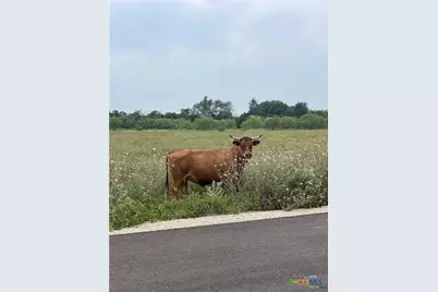 71 Pitchfork Ranch Road, Copperas Cove, TX 76522 - Photo 8