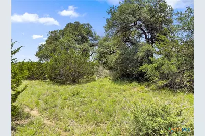 141 Vista View Place, Spring Branch, TX 78070 - Photo 2