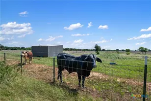 1100 1150 County Road 308 Rd, Jarrell, TX 76537 - Photo 12