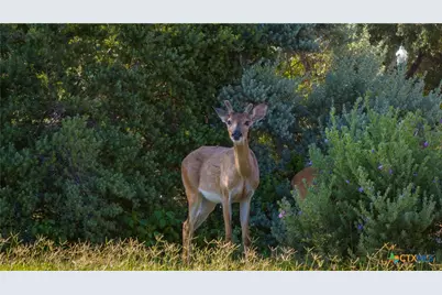 758 Mission Heights, New Braunfels, TX 78130 - Photo 34