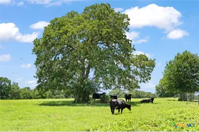 1010 Saint Delight Road, Paige, TX 78659 - Photo 8