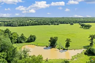 1010 St Delight Rd, Paige, TX 78659 - Photo 6