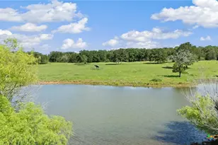 1010 St Delight Rd, Paige, TX 78659 - Photo 18