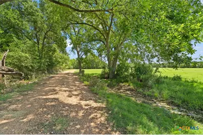1010 Saint Delight Road, Paige, TX 78659 - Photo 30
