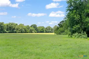 1010 St Delight Rd, Paige, TX 78659 - Photo 20