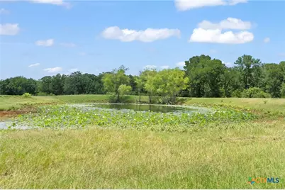 1010 Saint Delight Road, Paige, TX 78659 - Photo 16