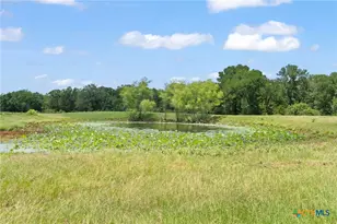 1010 St Delight Rd, Paige, TX 78659 - Photo 16