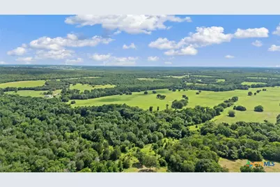 1010 Saint Delight Road, Paige, TX 78659 - Photo 46