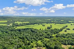 1010 St Delight Rd, Paige, TX 78659 - Photo 46