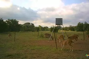 7800 Co Rd 210, Bertram, TX 78605 - Photo 28