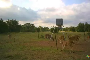 7800 Co Rd 210, Bertram, TX 78605 - Photo 30