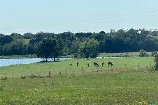 7800 Co Rd 210, Bertram, TX 78605 - Photo 22