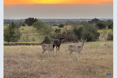 7800 County Road 210, Bertram, TX 78605 - Photo 26