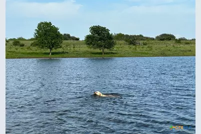 7800 County Road 210, Bertram, TX 78605 - Photo 10