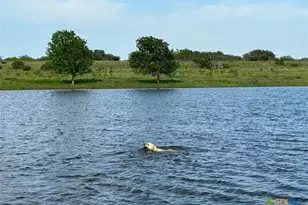 7800 Co Rd 210, Bertram, TX 78605 - Photo 10