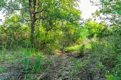 12175 N US Hwy 183, Florence, TX 76527 - Photo 22