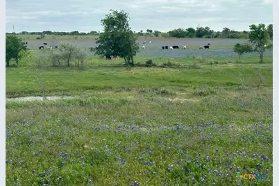 Tbd Hackberry Road, Salado, TX 76571 - Photo 4