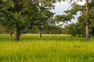 8058 Milam County Rd 455, Lexington, TX 78947 - Photo 28