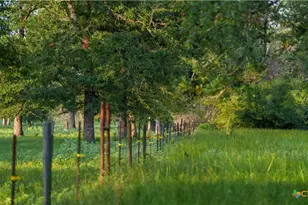 8058 Milam County Rd 455, Lexington, TX 78947 - Photo 36