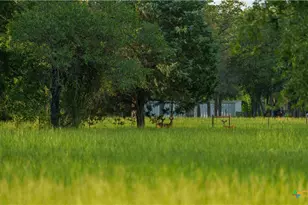 8058 Milam County Rd 455, Lexington, TX 78947 - Photo 32