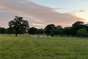 8058 Milam County Rd 455, Lexington, TX 78947 - Photo 34