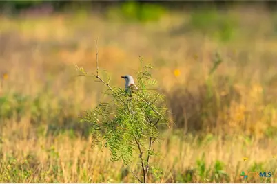 1305 County Road 3800, Lampasas, TX 76528 - Photo 10