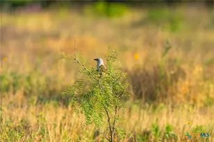 1305 Co Rd 3800, Lampasas, TX 76528 - Photo 10