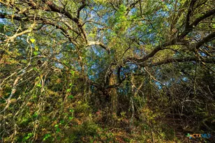 1305 Co Rd 3800, Lampasas, TX 76528 - Photo 24