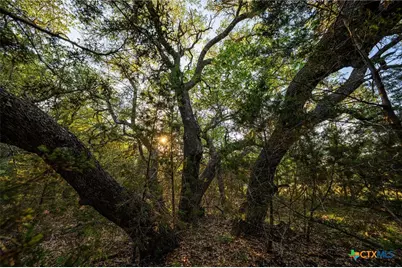 1305 County Road 3800, Lampasas, TX 76528 - Photo 26