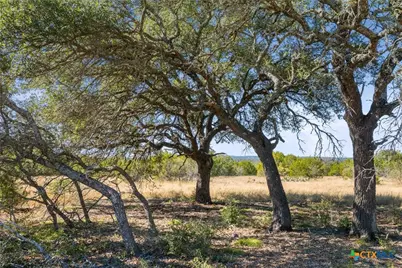 Tbd Gipson Road, Johnson City, TX 78636 - Photo 20