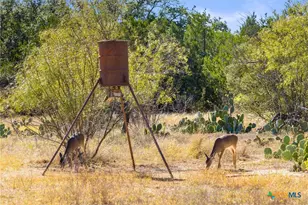 Tbd Gipson Rd, Johnson City, TX 78636 - Photo 16