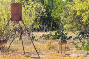 Tbd Gipson Rd, Johnson City, TX 78636 - Photo 8