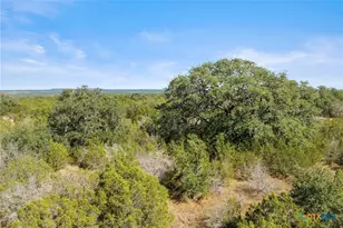 Tbd Gipson Rd, Johnson City, TX 78636 - Photo 18