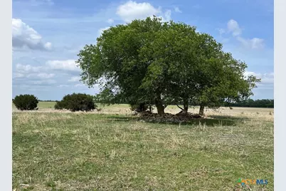 000 County Road 269, Oglesby, TX 76561 - Photo 2