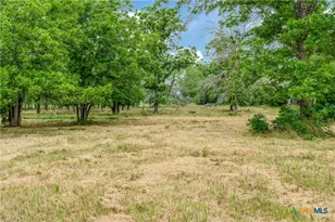 10767 Rosemar Ln, Adkins, TX 78101 - Photo 24