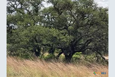 207 Verbena Court, Johnson City, TX 78636 - Photo 2