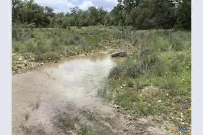 207 Verbena Court, Johnson City, TX 78636 - Photo 6