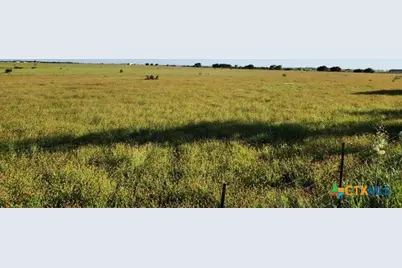 Tbd Highway 183, Briggs, TX 76527 - Photo 20