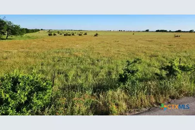 Tbd Highway 183, Briggs, TX 76527 - Photo 20