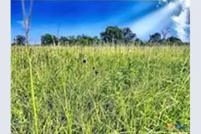 5350 Soda Springs Road, Luling, TX 78648 - Photo 4