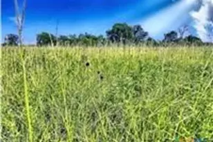 5350 Soda Springs Rd, Luling, TX 78648 - Photo 4