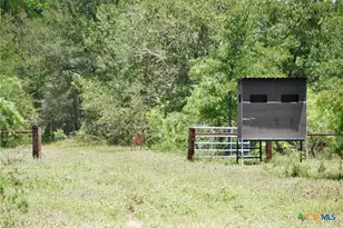 Tbd Cr 420, Waelder, TX 78959 - Photo 18