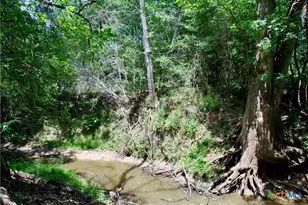 Tbd Cr 420, Waelder, TX 78959 - Photo 14