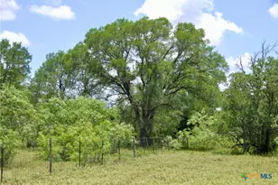 Tbd Cr 420, Waelder, TX 78959 - Photo 20