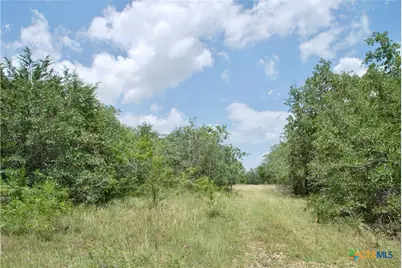 Tbd Cr 420, Waelder, TX 78959 - Photo 36