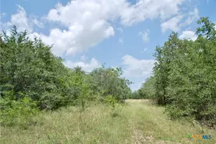 Tbd Cr 420, Waelder, TX 78959 - Photo 36